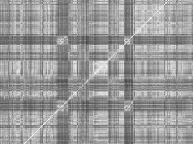 Trevor Wishart's Imago (2002), similarity matrix based on Euclidean distance between MFCC audio feature vectors over the piece's complete 26 minute duration